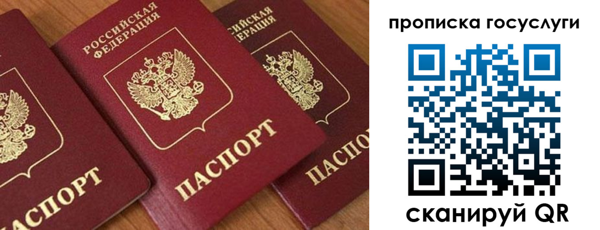 временная прописка в Выборге